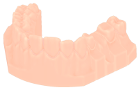 SLM Modell (Sägeschnitt)