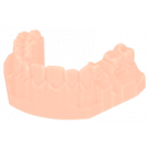 SLM Modell (Sägeschnitt)